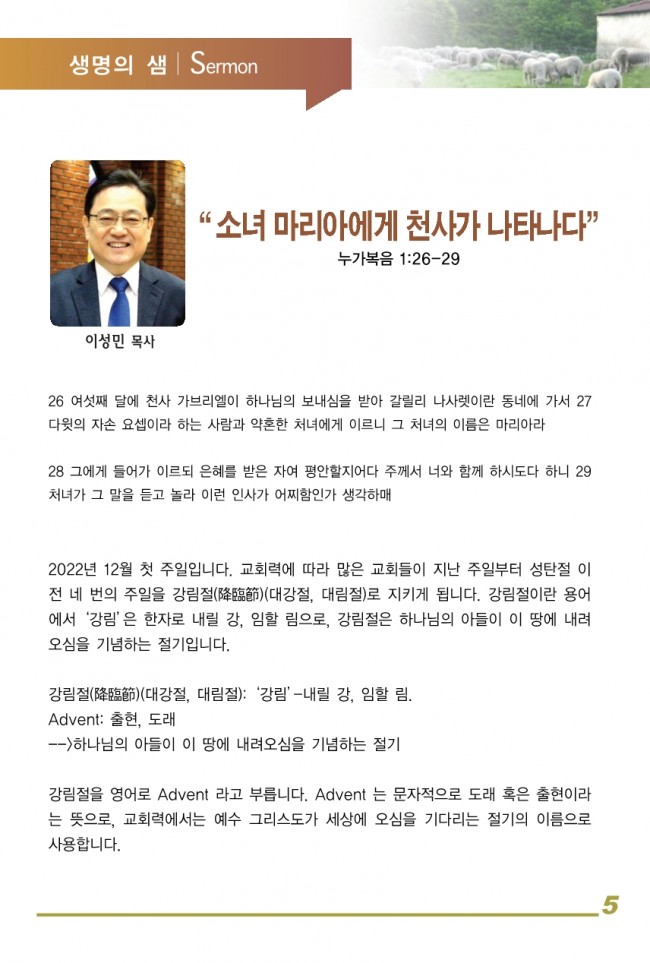 강남성은교회 / 주보&소식
